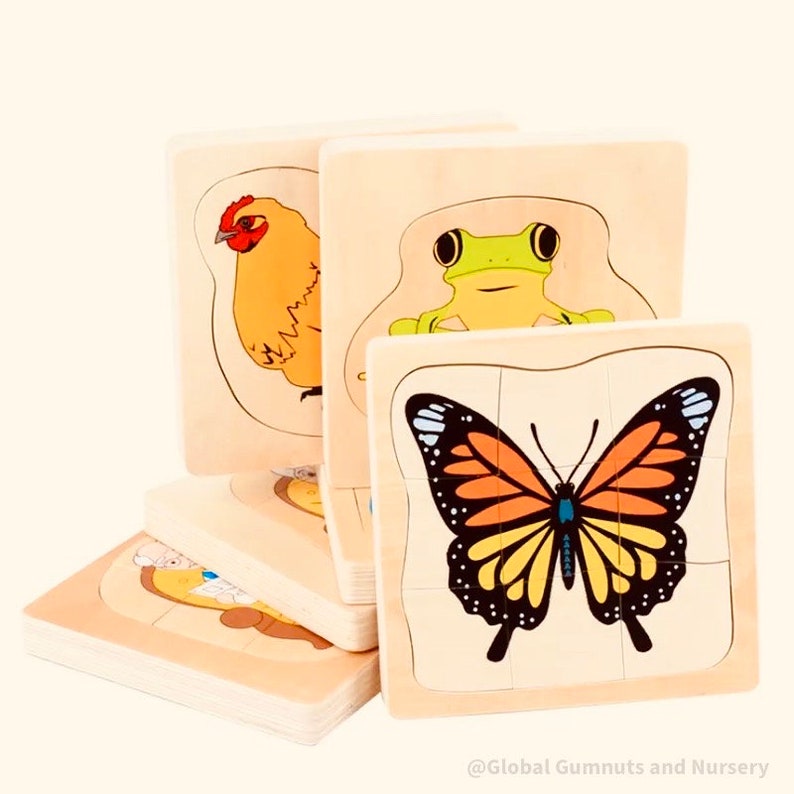 Butterfly Life Cycle PUZZLE Montessori SQUARE image 7