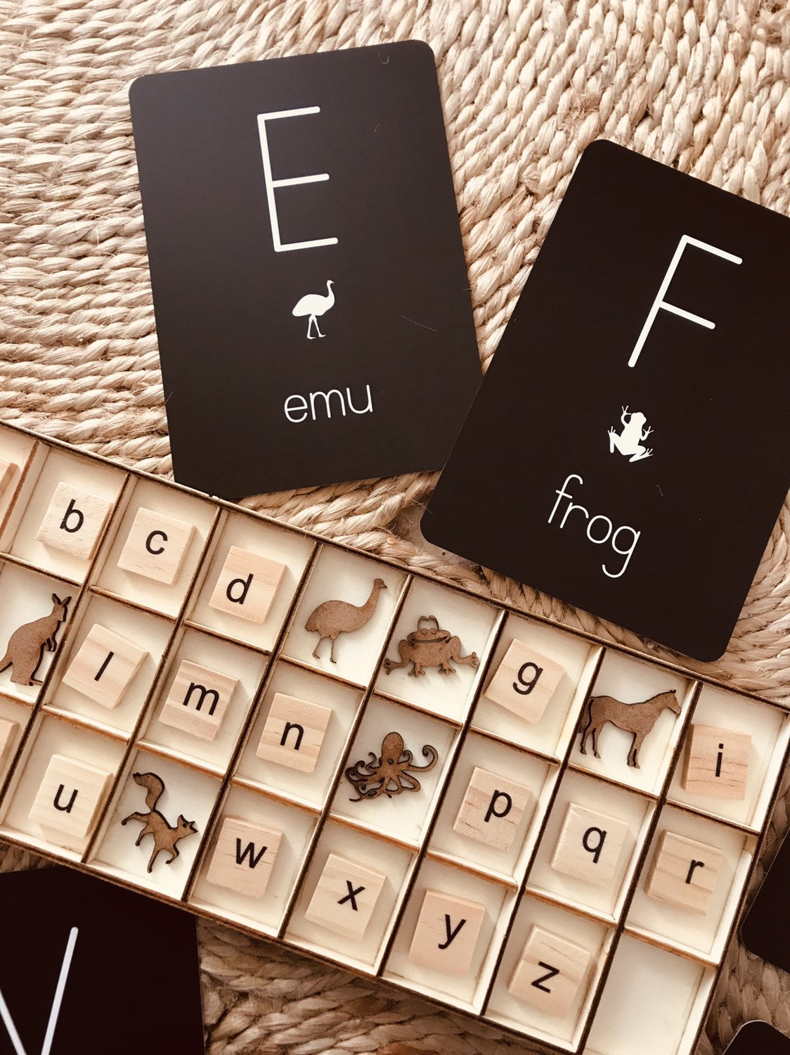 A to Zoo Animals Display Board