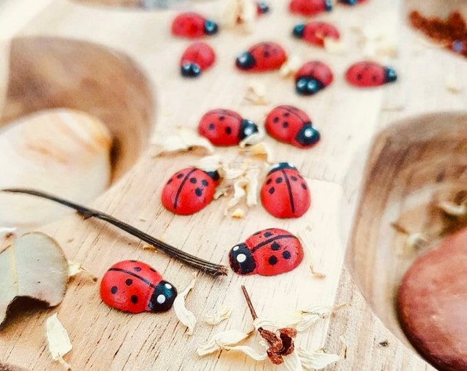 Wooden Ladybirds | Ladybugs | NO sticker