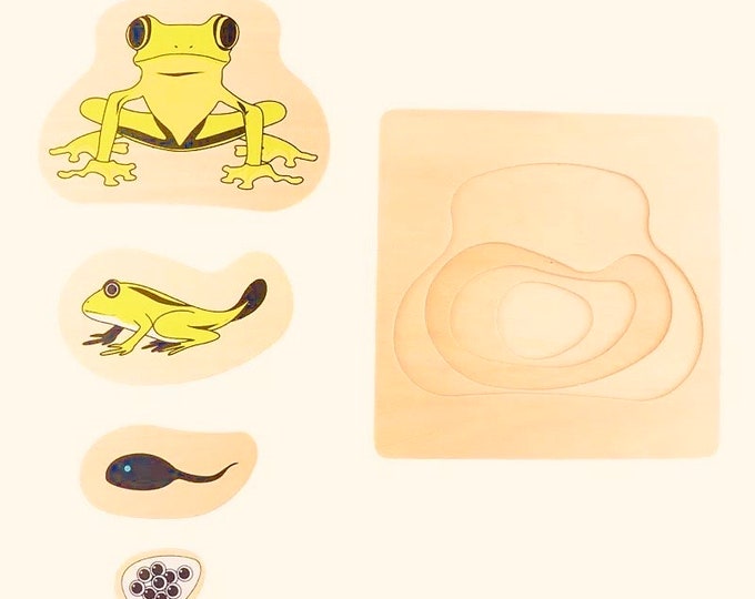 Frog Life Cycle PUZZLE | Montessori