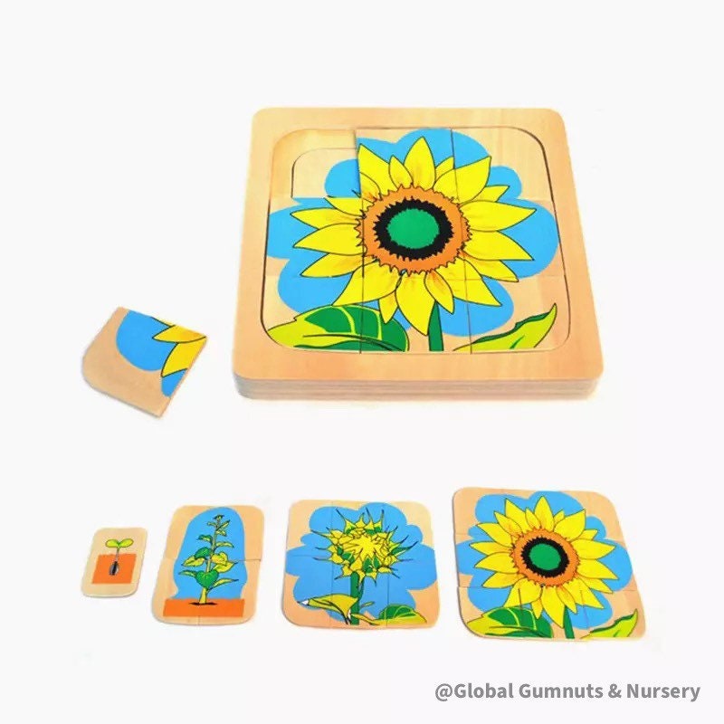 Jeu de carte,2 ensembles de tournesol classique. cubes de cartes