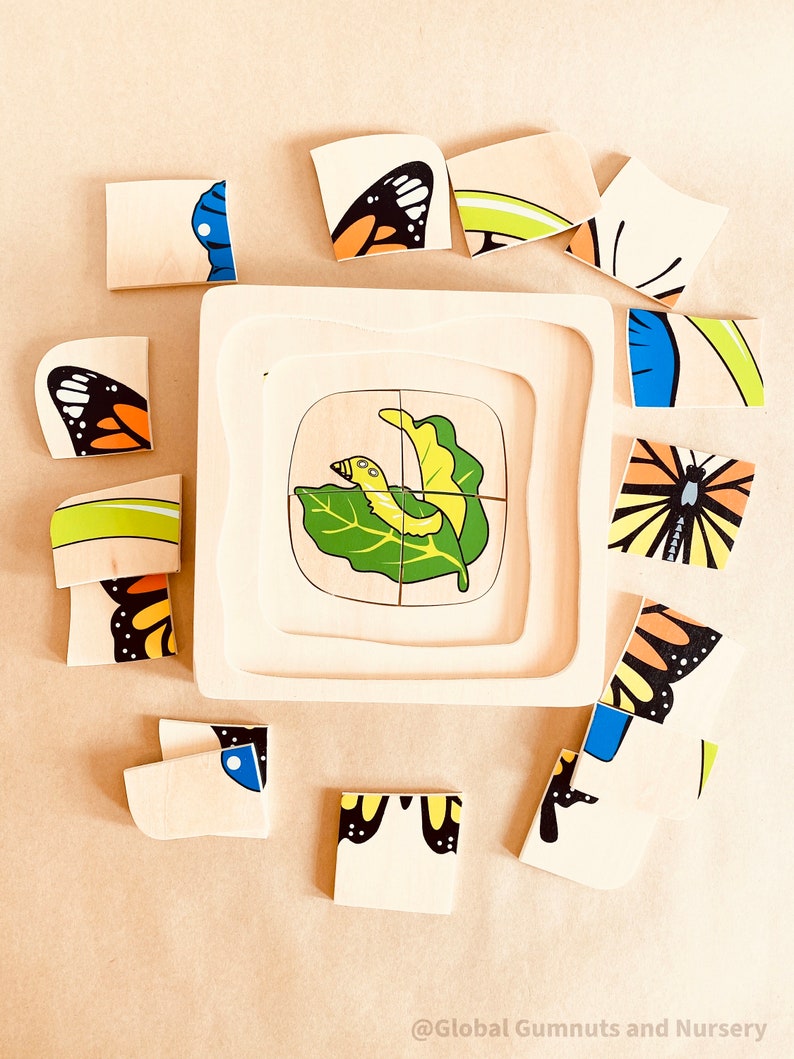 Butterfly Life Cycle PUZZLE Montessori SQUARE image 4