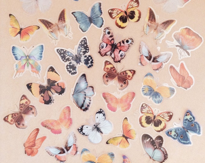 Amazing Butterfly Rainbow Collection | 5 or 10 pieces