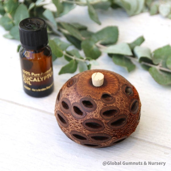 SMALL | Banksia Essential Oil Diffuser | Pre-filled with Eucalyptus Oil