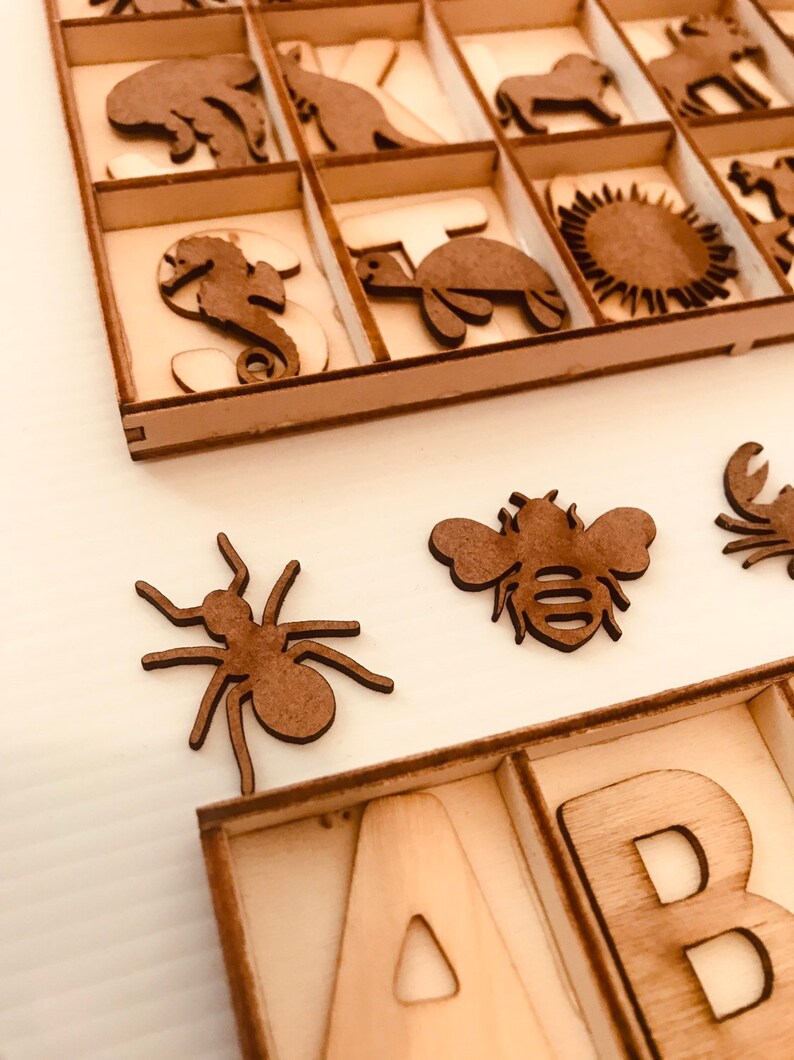 A to Zoo Animals Display Board Etsy