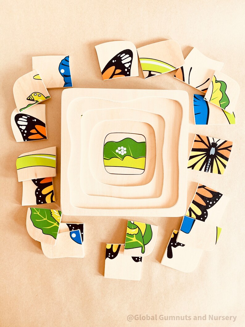 Butterfly Life Cycle PUZZLE Montessori SQUARE image 5