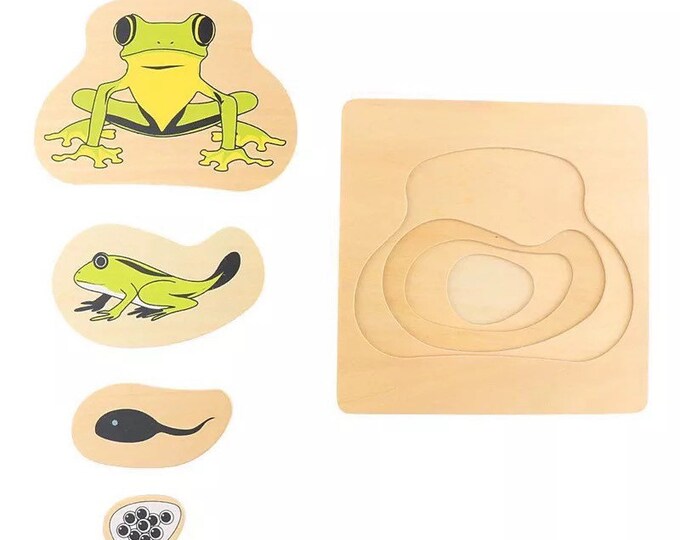 Frog Life Cycle PUZZLE | Montessori