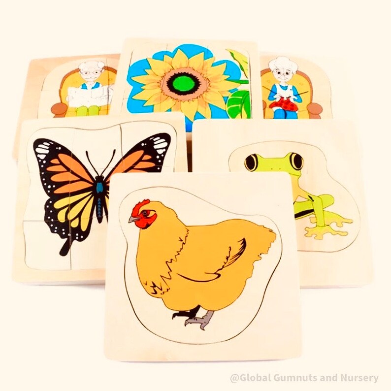 Butterfly Life Cycle PUZZLE Montessori SQUARE image 8