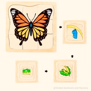 Butterfly Life Cycle PUZZLE Montessori SQUARE image 2