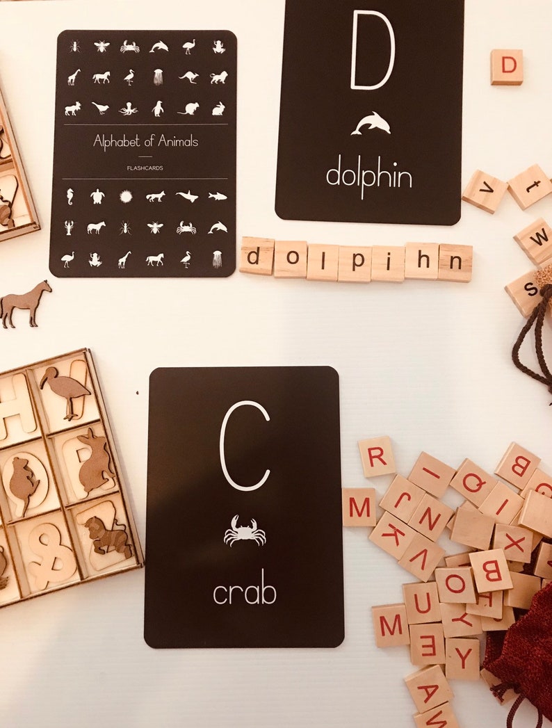 A to Zoo Animals Display Board Etsy