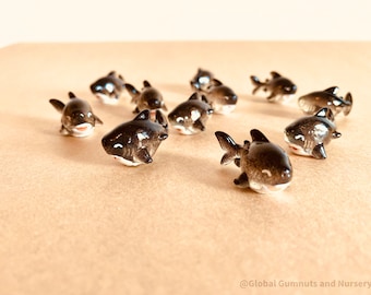 Tiny Resin Black Sharks: Perfect for Art Projects, Fairy Gardens, Cake Toppers and More!