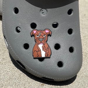 May include: A brown and white pit bull dog charm for a pair of gray Crocs shoes. The charm is made of rubber and has a detailed design.