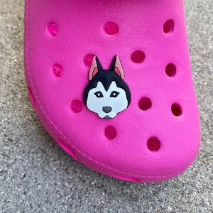 Husky jibbitz clearance