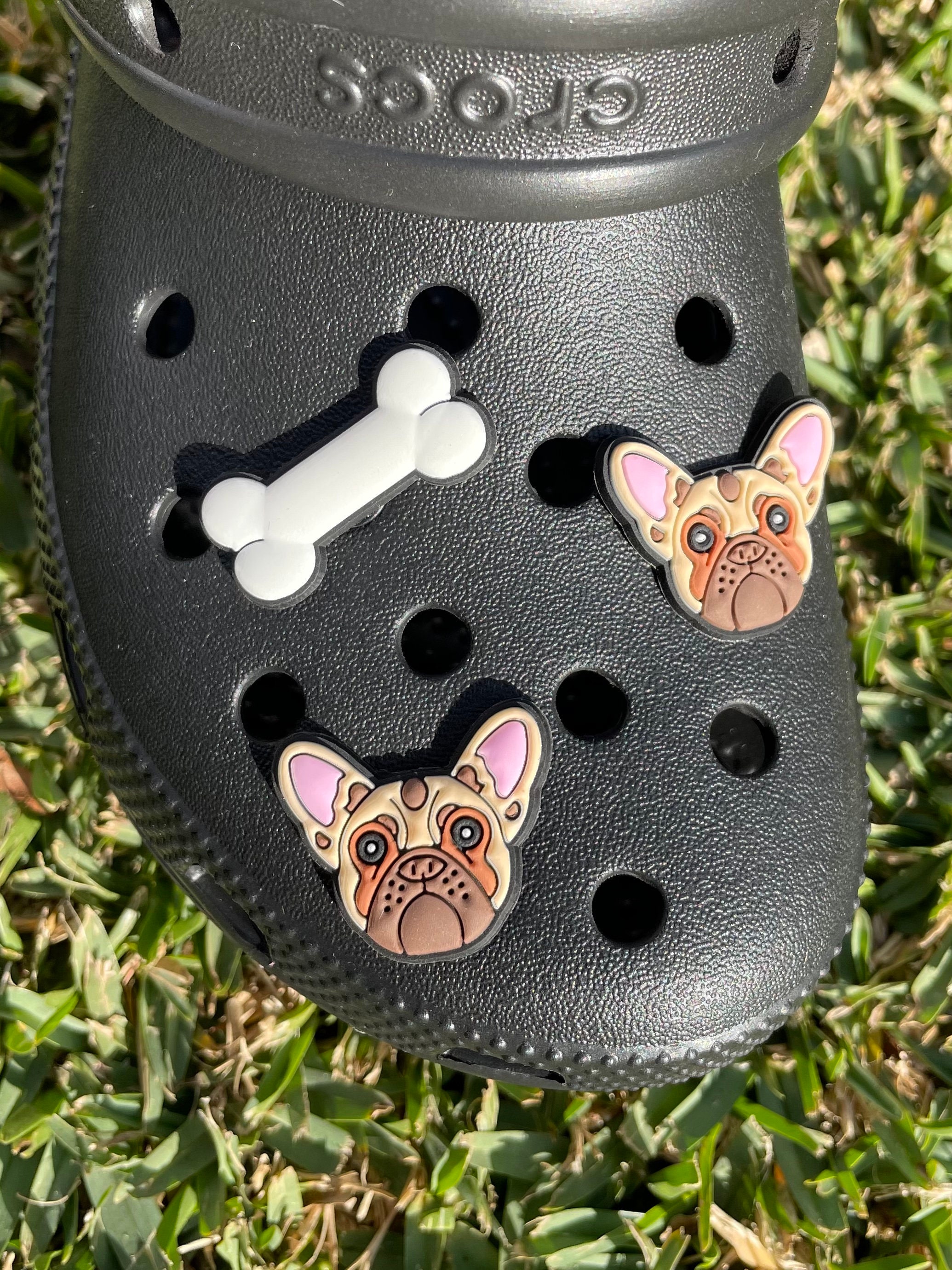 Buy 3 Pack: 2 Brown French Bulldog and 1 Bone Shoe/bag Charms Online in  India 