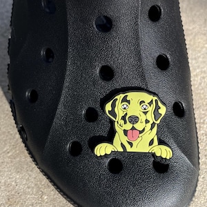 Labrador Shoe Charm