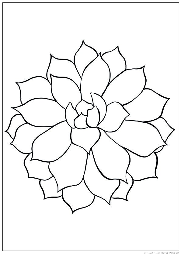 Succulent Colouring Page Digital Printable Colouring Page | Etsy