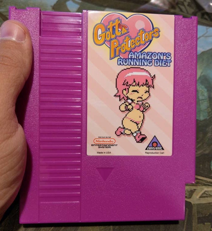 Gotta Protectors Amazon's Running Diet Reproduction NES Etsy
