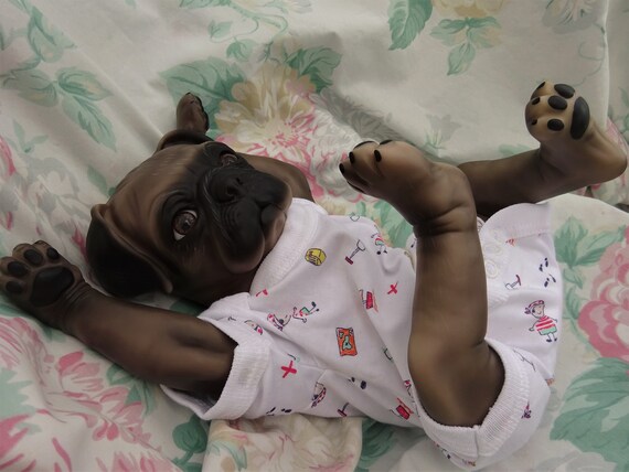 pug reborn