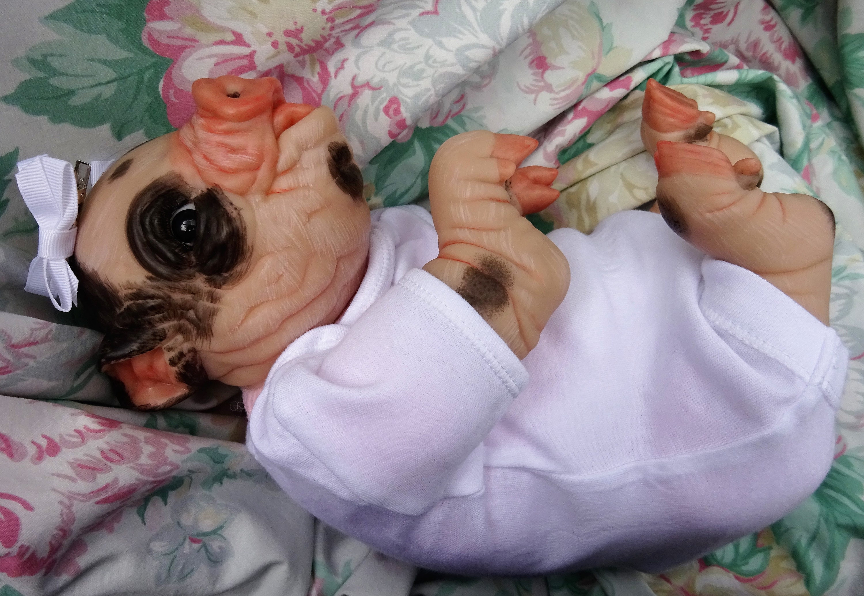 reborn baby pig