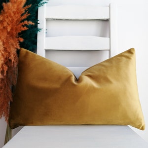 LUMBAR PILLOW COVER Velvet Pillow in Custom Size