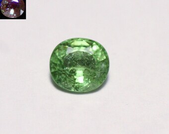 Merelani Mint Grossular Garnet 0.98ct 6.5x5.5mm Rare Vivid Green Faceted Gem