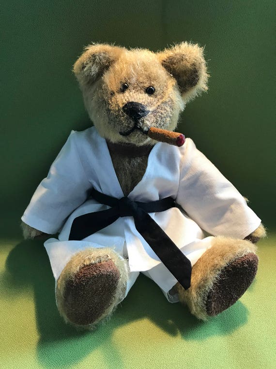 karate teddy