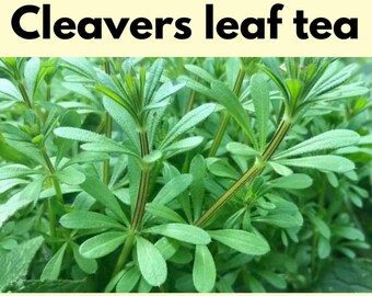 10 x cleavers leaf teabags, tea, herbal, natural, infusion,galium aparine