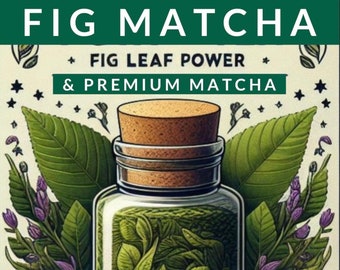 Feigen Matcha Teebeutel x 10, handwerkliche Mischung, Feigenblatt, Premium Matcha Tee