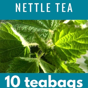 10x Freshly ground nettle teabags, herbal, detox, urtica dioica, vegan