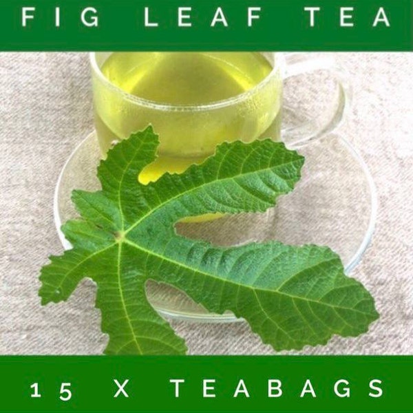 15 x Ground fig leaf teabags, healthy, herbal  Ficus Carica Dried Leaves, herbs