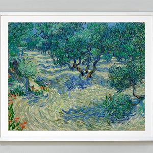 Van Gogh Olive Orchard Print: Museum Quality Giclee Art