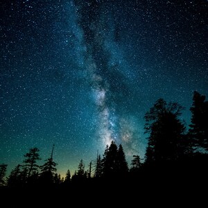 May include: A dark night sky with a bright band of the Milky Way galaxy visible above a silhouette of a forest. The stars are visible throughout the sky.