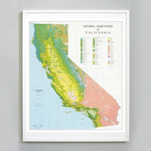 California Forests Map Print, Bos en natuurlijke vegetatie Formaties, Science Chart, Museum Kwaliteit Kaart Print
