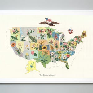Impresión de mapa de flores de los Estados Unidos, "Nuestro ramo nacional", Mapa pictórico de las flores estatales de los EE. UU., c. 1911, Impresión Giclée