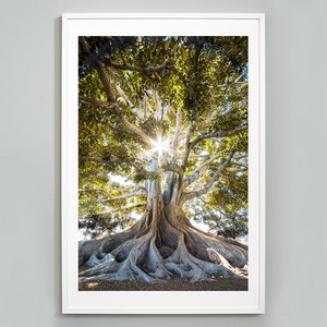 Baum des Lebens Druck, Wandkunst, Inspirierendes Foto, Fine Art Fotografie, Museumsqualität Fotodruck
