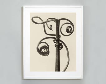 Karl Blossfeldt Print, Art Forms in Nature, Botanical Photography Art Print, Vintage Photography, 1928, Museum Quality Wall Art