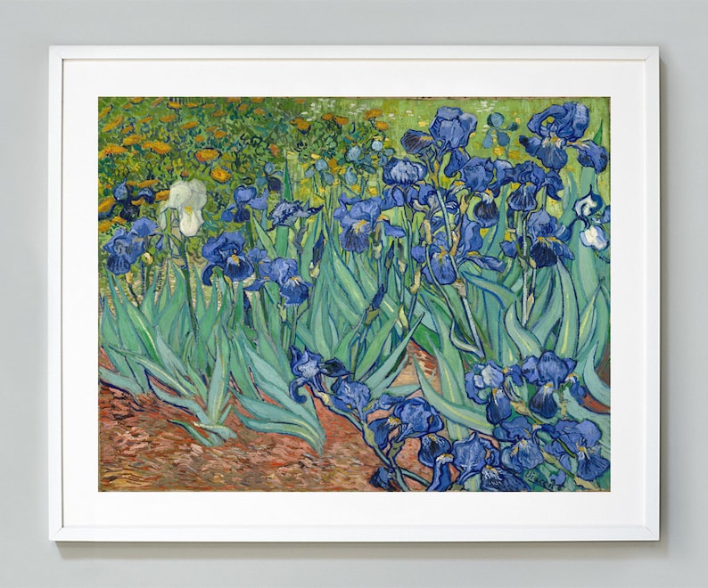 Vincent Van Gogh Irises Print 1889 Museum Quality Giclee Art - Etsy