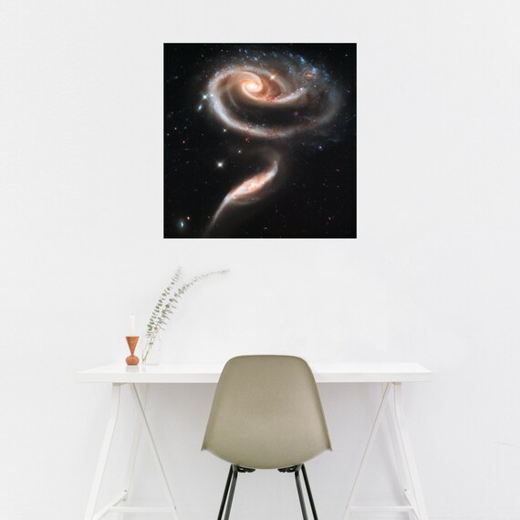 ROSE MADE OF GALAXIES Hubble Deep Space Giclee CANVAS PRINT 24x24 in.