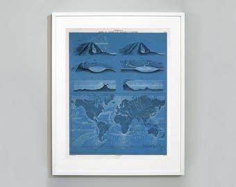Könnte beinhalten: Eine Vintage-Illustration in Blau und Weiß zur Entstehung des Meeresbodens und der Kontinente. Die Illustration zeigt die verschiedenen Stadien der Entstehung der Erdoberfläche, vom anfänglichen geschmolzenen Zustand bis zur Gegenwart. Die Illustration ist in einem weißen Rahmen gerahmt.