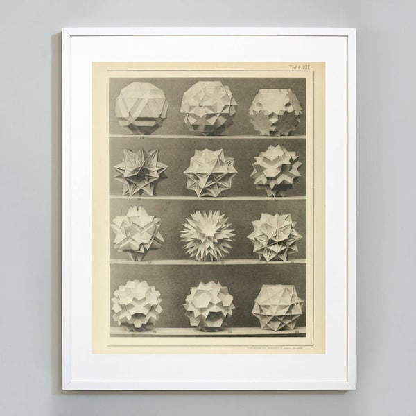 Polyhedra Models Print 3, Max Brückner, Polyhedral Models of Geometry, 1900, Museum Quality, Giclee Art Print