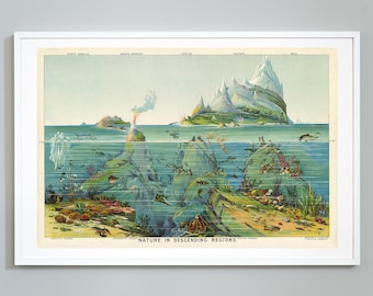 May include: A vintage illustration depicting "Nature in Descending Regions." The image shows a mountainous island with a volcano erupting in the background, and a detailed view of the underwater world below. The illustration is divided into sections representing different regions, including North America, South America, Asia, Europe, and Africa.