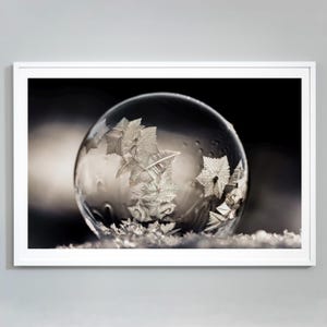 Snowflake Bubble Print, Crystal Lattice of Frozen Snow, Fine Art Photography, Museum Quality Photo, Large Wall Decor