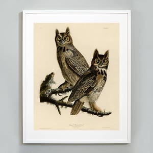 Owl Print, Birds of America, John James Audubon, Great Horned Owl, c. 1827,  Museum Quality, Giclee Art Print