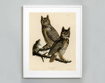 Impresión de búho, Pájaros de América, John James Audubon, Gran Búho, c. 1827, Calidad del Museo, Impresión de Arte Giclee