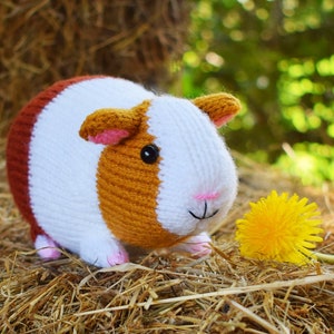 Gordon the guinea pig knitting pattern PDF instant download knitted amigurumi toy / pet / hamster / softie / animal / nursery decor 画像 10