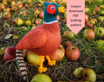 Philip the Pheasant knitting pattern PDF instant download (knitted amigurumi toy / bird / softie / animal / nursery decor /woodland / plush)