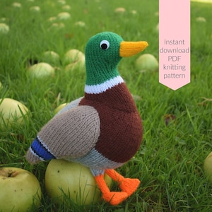 Malcolm the mallard duck knitting pattern (PDF digital download)