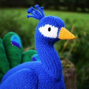 Norman the peacock knitting pattern PDF instant download knitted amigurumi toy / bird / softie / animal image 4