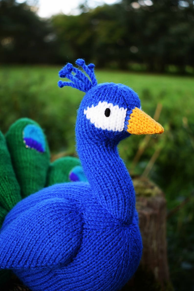 Norman the peacock knitting pattern PDF instant download knitted amigurumi toy / bird / softie / animal image 4