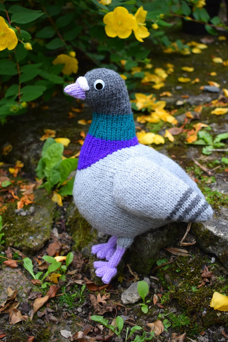 Paul the pigeon knitting pattern PDF instant download knitted amigurumi toy / bird / softie / animal / dove / cute / nursery decor image 4